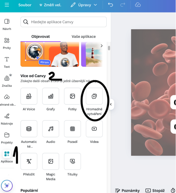 canva_bulk_create